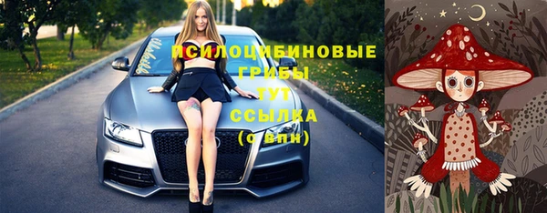 прущая мука Богданович