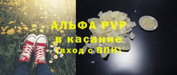 стафф Богородск